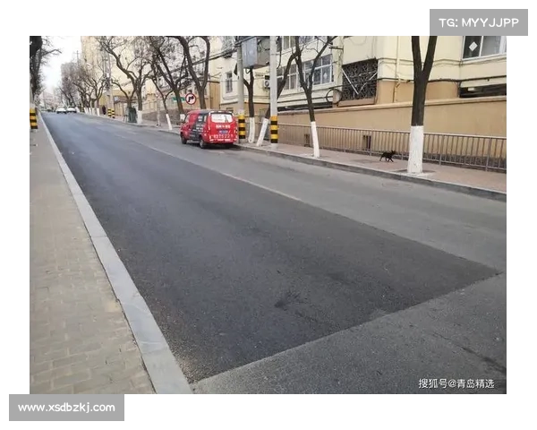选择TomTom智能导航的五大理由,带你畅行无阻的出行体验 选择TomTom智能导航的五大理由,带你畅行无阻的出行体验