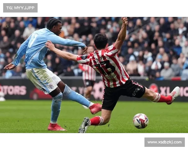 围绕英冠赛事真假争议的深入解析我们一起来看真相究竟如何全面剖析